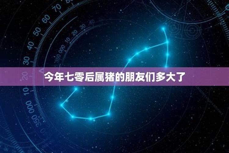 1979年2月17日晚23点出生旧历求2007年运试!请高人指点!