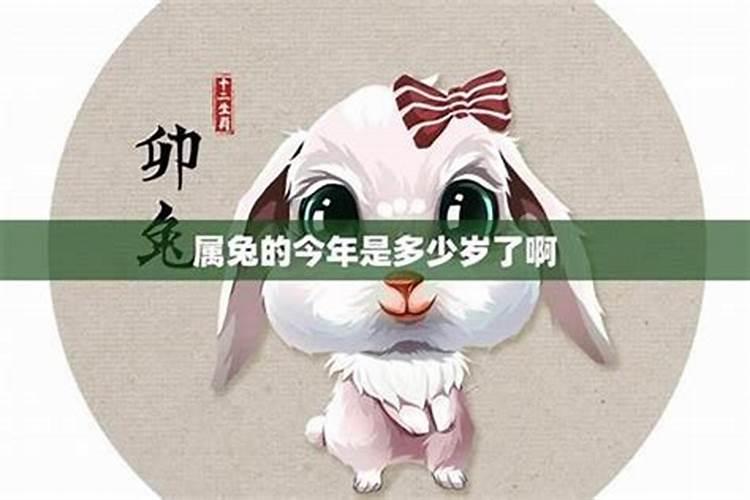 属兔多大年龄2024 属兔2024年运势运程