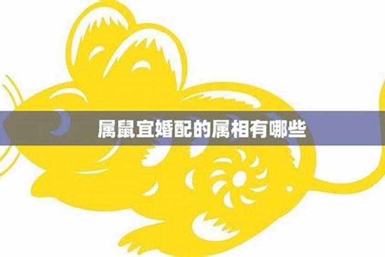 生辰合婚:属鼠的女人与属兔男做夫妻好吗 能合得来吗
