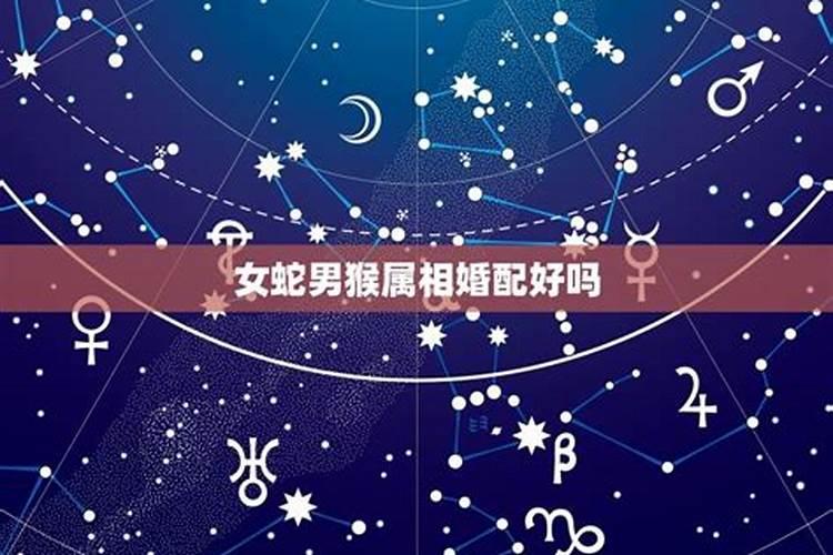 男猴女蛇婚姻是否相配运气怎么样,男猴女蛇婚姻相配吗？