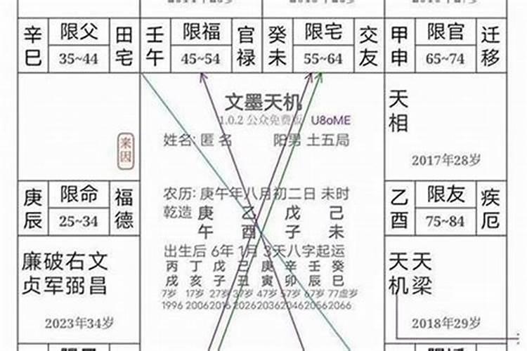 本命年好还是不好