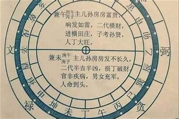 生辰八字中:枭伤日 杀癸 丙乙辛亥辰丑巳？分别指的是什么意思？