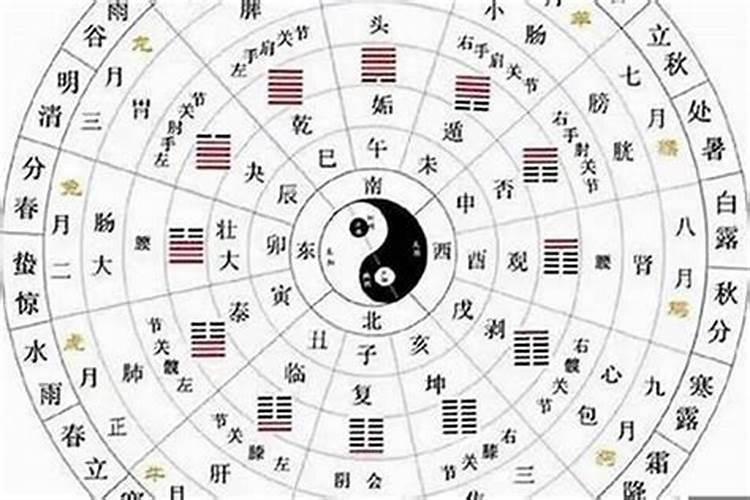 请易学高手帮看下八字