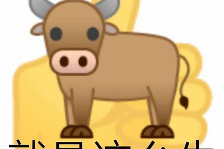 82年狗人40岁后命运,为何82年的属狗人命运如此坎坷