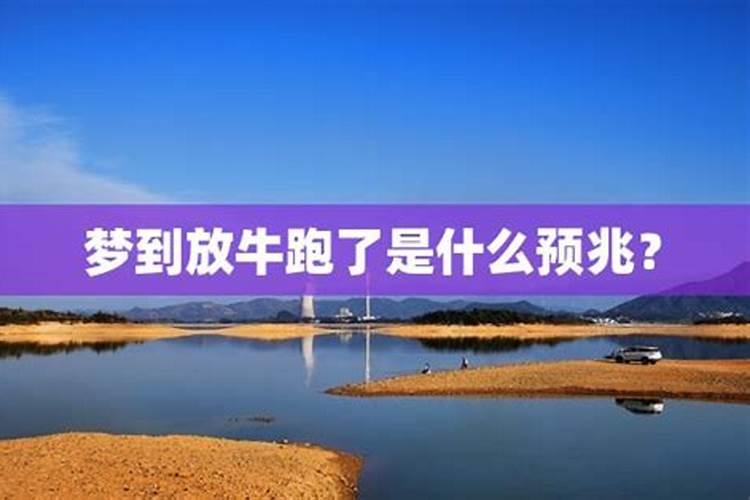 男属马配什么属相最好