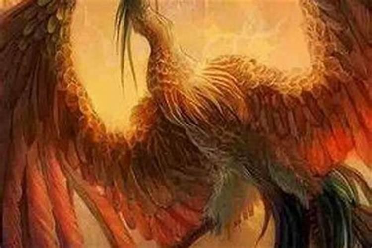 正缘是红鸾还是天喜