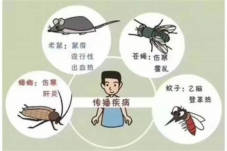 哪些面相的人容易招小人,哪些面相特征的人容易招惹小人