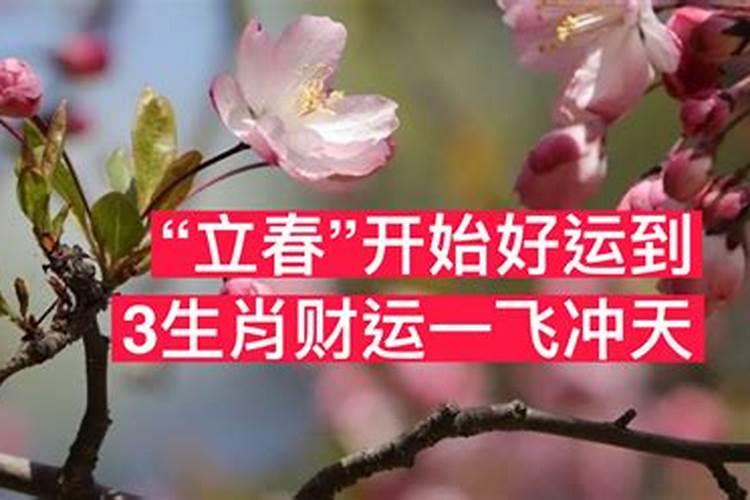 梦见水淹了道路