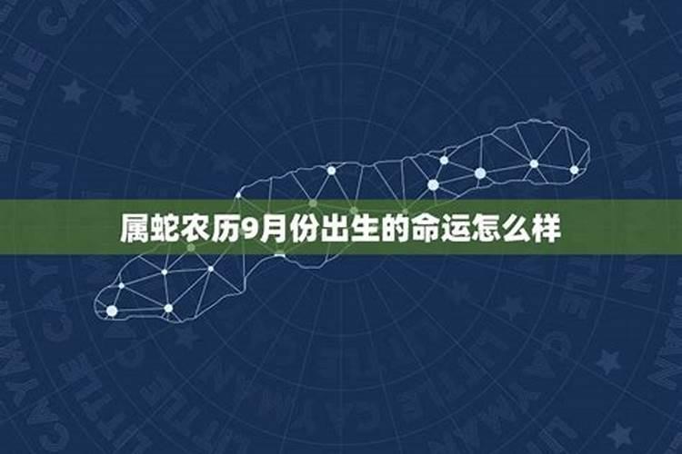 1977属蛇阴历九月命运怎么样,农历1977年9月28属蛇的运气如何