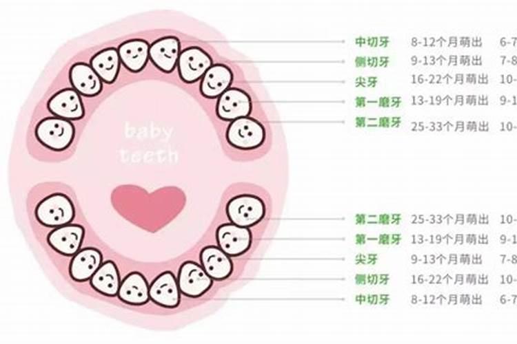 小孩子能不能洗牙齿