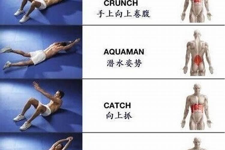 肚子太大 怎么在最短的时间里锻炼出腹肌