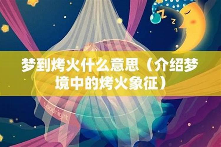 狗与猪合不合