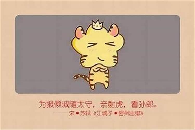 属虎人今天麻将运势,属虎今日运势偏财运