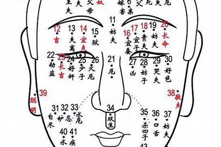 1991年属羊的女人最佳婚配是什么