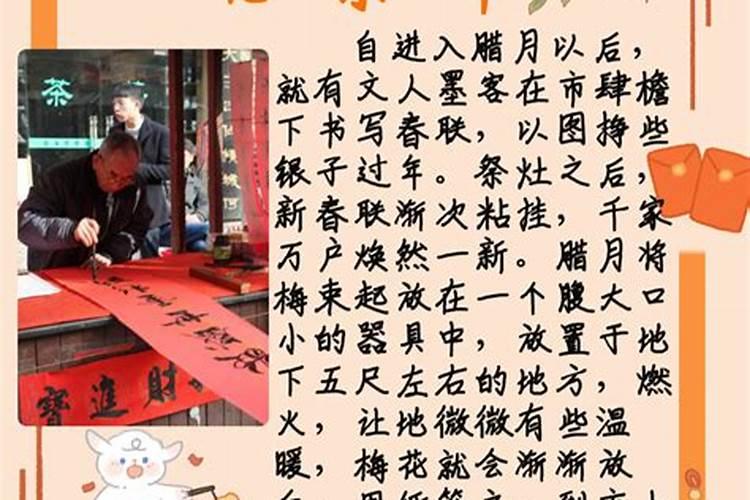 农历4月出生属兔人命好吗