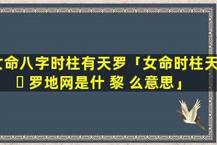 算命说命带天罗地网是什么意思
