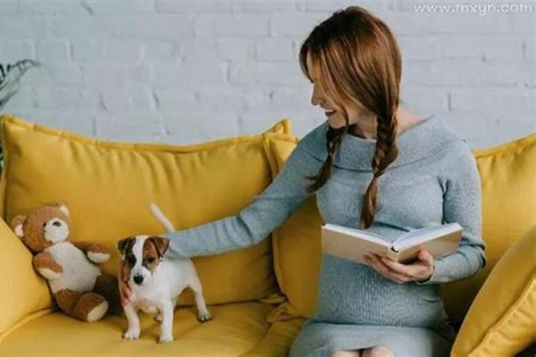 怀孕梦到狗是什么意思 孕妇梦见狗的暗示