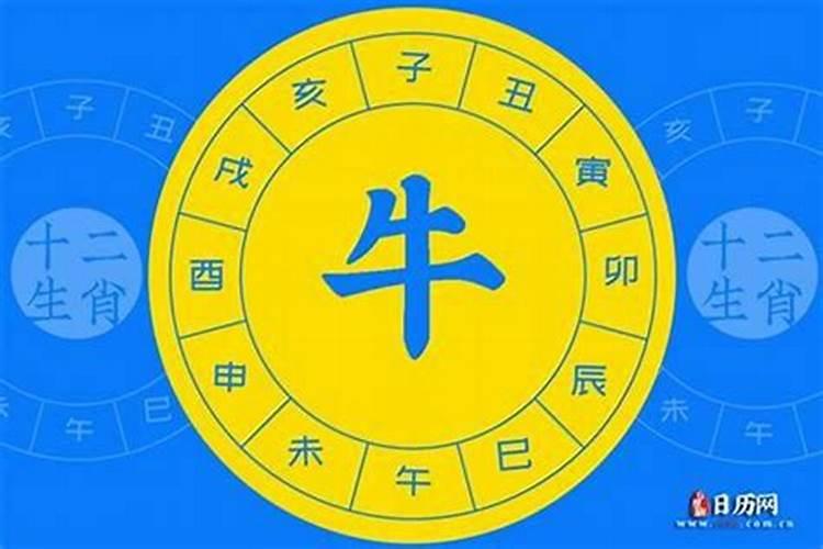 冬至到,顺德羊额何门太公分猪肉