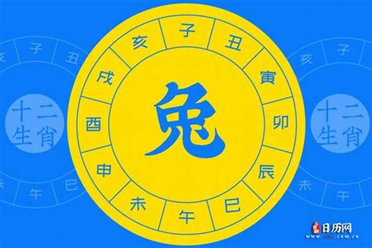 2025属兔人的全年运势如何