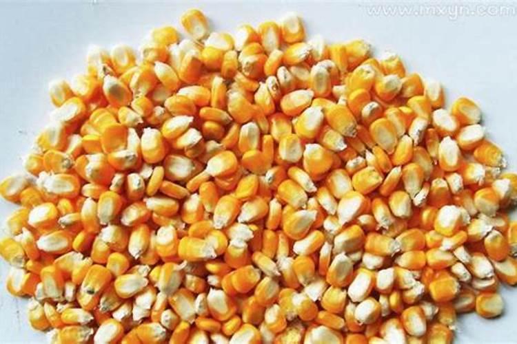 清明节按阳历还是阴历清明节为什么不是阴历