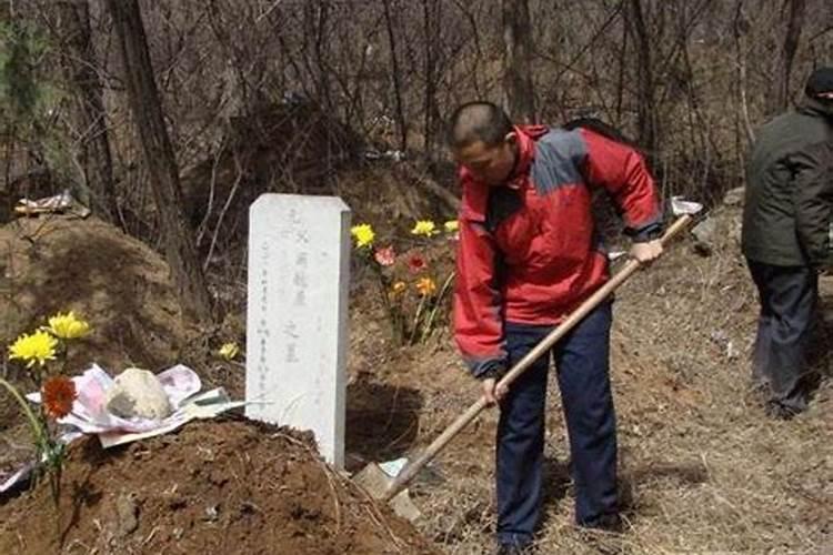 清明节当天如辰未戍丑日忌动土为什么？