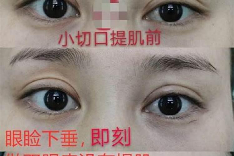 (算命)2009年运势