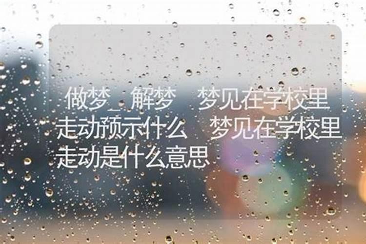 梦见在学校里走动