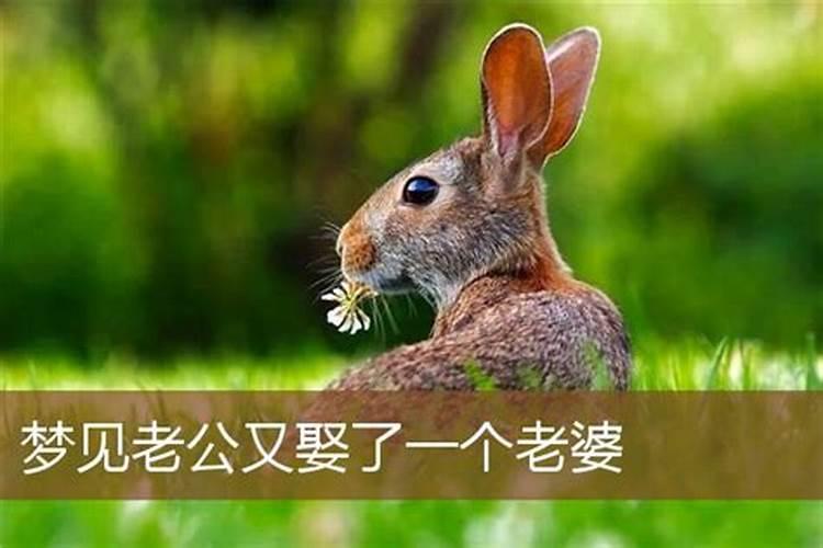梦见老婆和邻居结婚