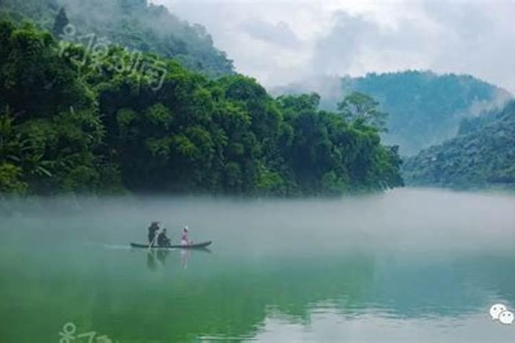 年在何处喊话游子的桑植县:10万百姓返乡,7万游客到访