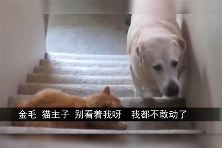 出生的男宝宝取小名牛年男宝宝高分乳名