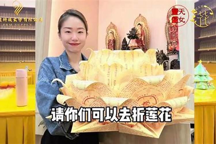 属兔和鸡属相合不合