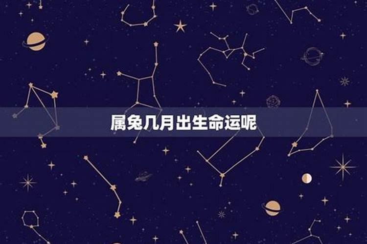 属兔的几月出生不好