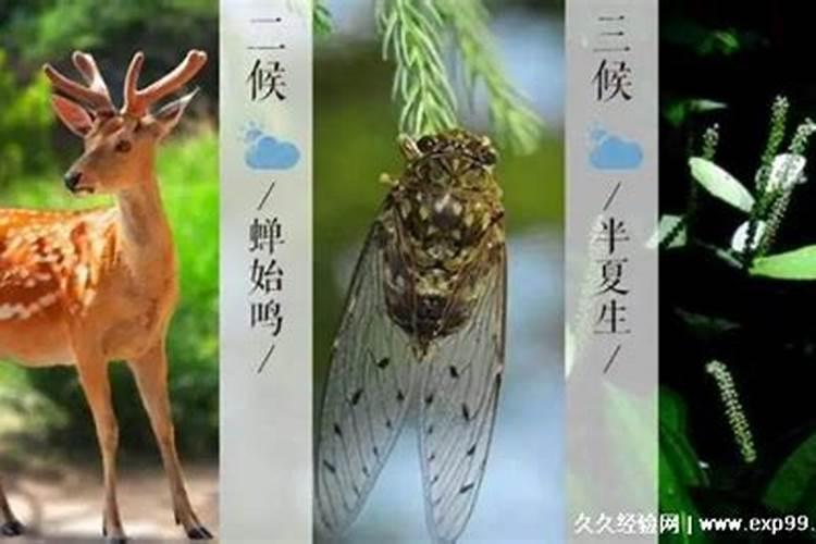 东北结婚彩礼多少钱 东北娶媳妇给多少彩礼