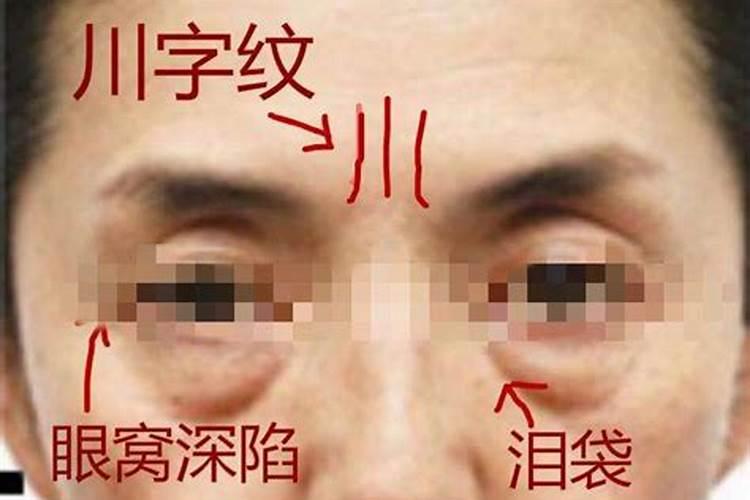 十大招财多肉植物图片,聚财又好养的多肉植物品种