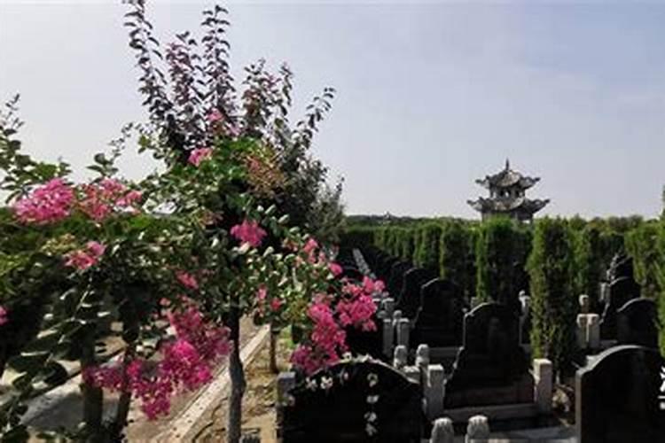 陆丰市碣石镇旅游景点,陆丰走什么好玩的景区推荐