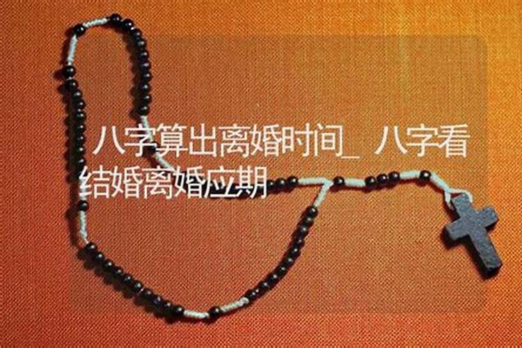 属猪和什么属相最配财运最旺