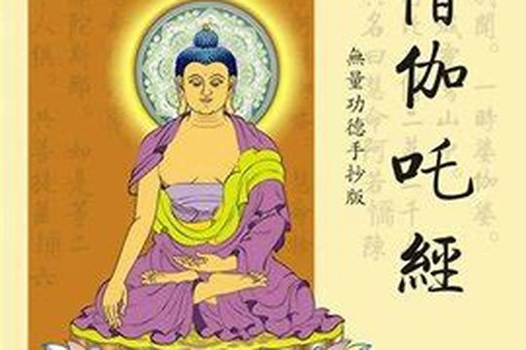 端午吃什么鱼