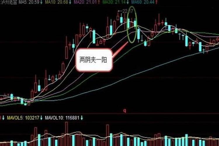 牛今年多大年龄了？