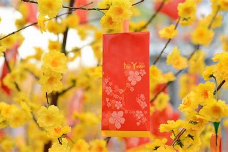 越南过年和中国一样吗？