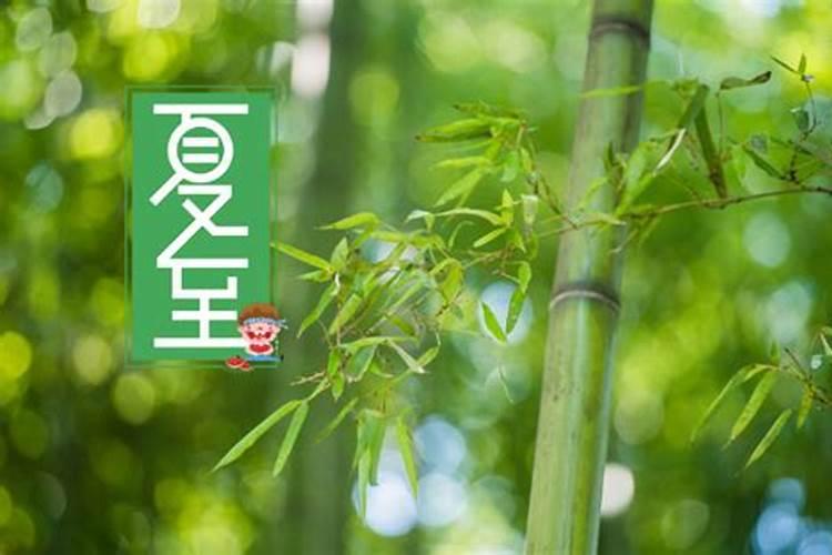 什么是夏至三庚