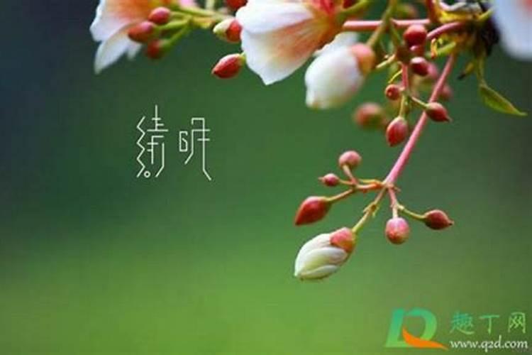 1975年属兔是什么命 75年属兔的是什么命