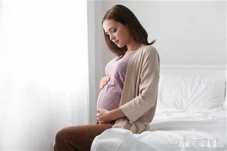 孕早期梦见蛇 怀孕早期梦见蛇是什么征兆