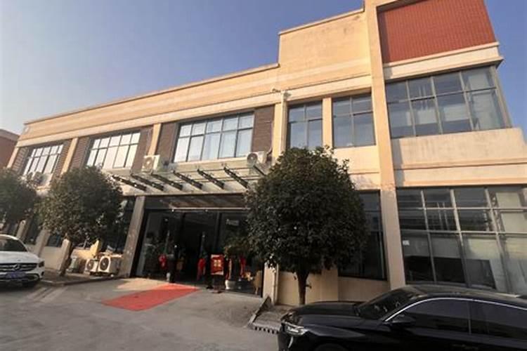 重阳节为老人做什么 重阳节可以为老人做什么