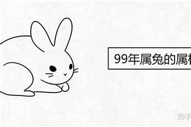 2023年兔宝宝忌什么属相父母