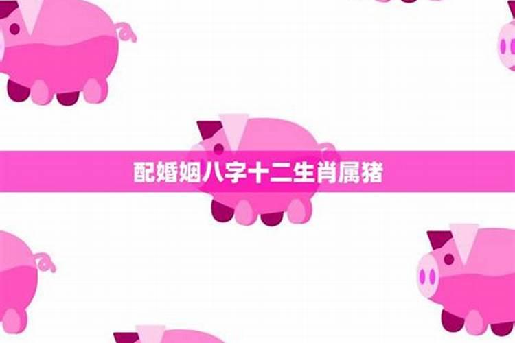 属猪女和什么属相是最配的 属猪女和什么属相配婚最好
