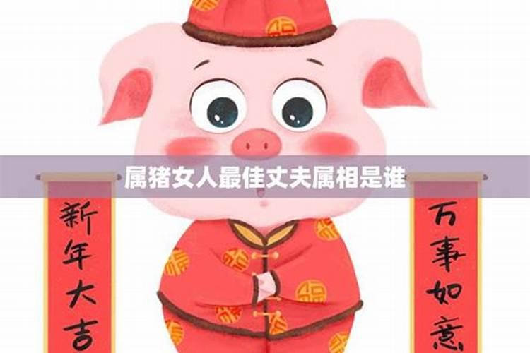 属猪女和什么属相配