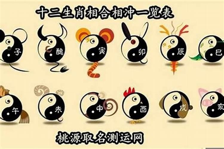 九八年十一月初六和九八年腊月二十五的人婚姻和吗？