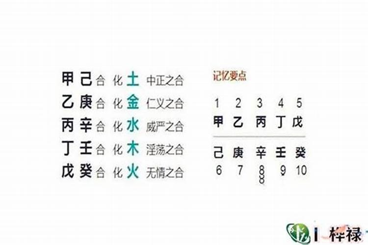 属鼠的犯月是几月属鼠几月出生最不好