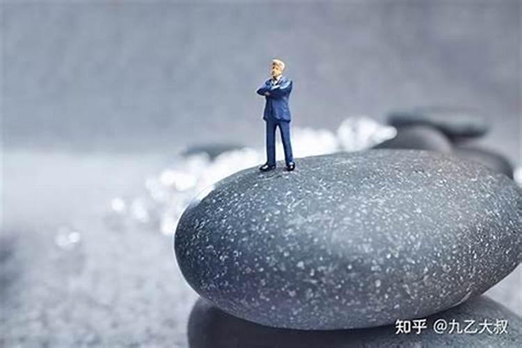 属猪的生什么宝宝最旺财啊？