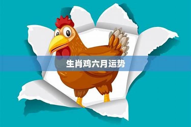 生肖鸡1993年2025年运势如何 生肖鸡1993年2025年全年运势